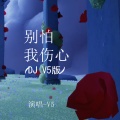 DJ V5 - 别怕我伤心