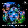 Rumble in the Jungle (DJ E-Maxx Remix Edit)