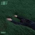 涛哥爱音乐 - 小娘子