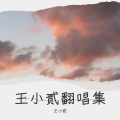 王小贰 - 陌路逢君