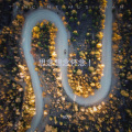 阿九 - 叹情歌