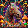 MBK、Lady Dammage、Ender - Potra Salvaje