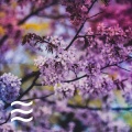 柔和的白噪声 - 棕色仍然嘈杂的色调