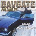 BavGate - Crack Chronicles (Explicit)