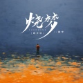 善宇 - 烧梦