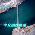 翁古友友-WG - 真的不容易 (翁古友友-WG remix)