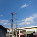 江文若 - 鸽子