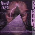 320zzb - Override