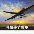 隆安吉 - 马航去的地方
