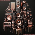 David Heartbreak - Rose Colored Riddim