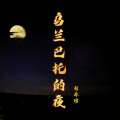 刘亦琦 - 乌兰巴托的夜