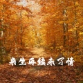 浪子天涯 - 来生再续未了情