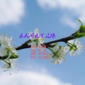 浪子天涯 - 来人间走个过场