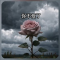 雄子 - 其实你不爱了