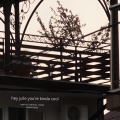 hey julie you're kinda cool、Пока тепло - город (Explicit)