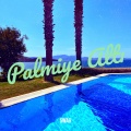 Swag - Palmiye Altı
