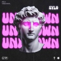 Sylo - Unknown