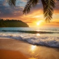 aika - Tropical Sunset