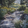 River Noise、Nature Sounds At Home - Serene River Vibes for Relaxation