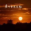 米茶 - 你可曾见过光