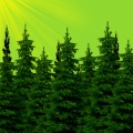 Fooj - Endor