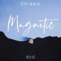 相片纸 - Magnetic