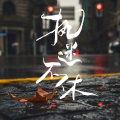 张梦弘 - 执迷不休