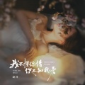 赵洋 - 我不懂你情你不知我爱