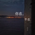 杨李鑫 - 你在，不在