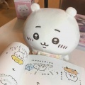 冉茉 - 敏感病