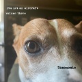 Vol. Three: Taxonomic