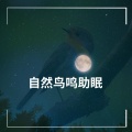 BS 沉睡 - 森林里的鸟儿