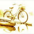 Pedals Beneath Our Feet