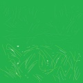chaeg - hostapartyunderthepinetrees