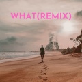 Rnbstylerz - WHAT (Remix)