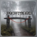 雄子 - 月老喝不了孟婆的汤 (1版)