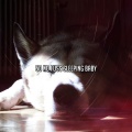 Newborn Baby Lullabies - Night Star