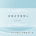ドライフラワー