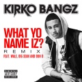 What Yo Name Iz? (feat. Wale, Big Sean and Bun B)(Remix|Explicit)