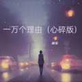 暖宝 - 一万个理由
