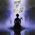 赵洋 - 琵琶声声揪心肠