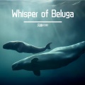 Whisper of Beluga 白鲸的絮语