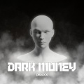 dsXXX - Power Bank