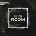 Nothing But... Essential Big Room, Vol. 21 (Explicit)