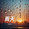 雨天 (谁能体谅我的雨天)