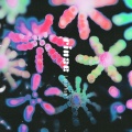 Rinse、Hatchie - Kiss Me (Kill Me)