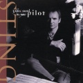 Let Your Soul Be Your Pilot (LP Version)