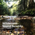 Wilderness Sound Serenity