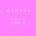 在实践中成长