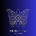 RISE FROM IT ALL